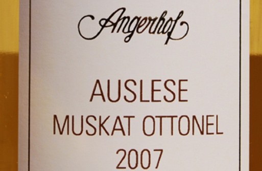 2007 Muskat Ottonel Auslese, Tschida
