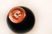2005 Lasendal, Capcanes