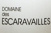 2010 