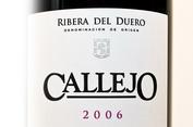 2006 Callejo 