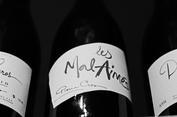 2010 Les Mal Aimés, Pierre Cros