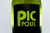 2009 Picpoul de Pinet, Domaine Font-Mars