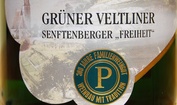2008 Grüner Veltliner 