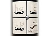 hold-up 06, Rhône Gang