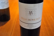 2008 Rosso Umbria IGT, Villa Mongalli
