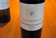 2008 Rosso Umbria IGT, Villa Mongalli