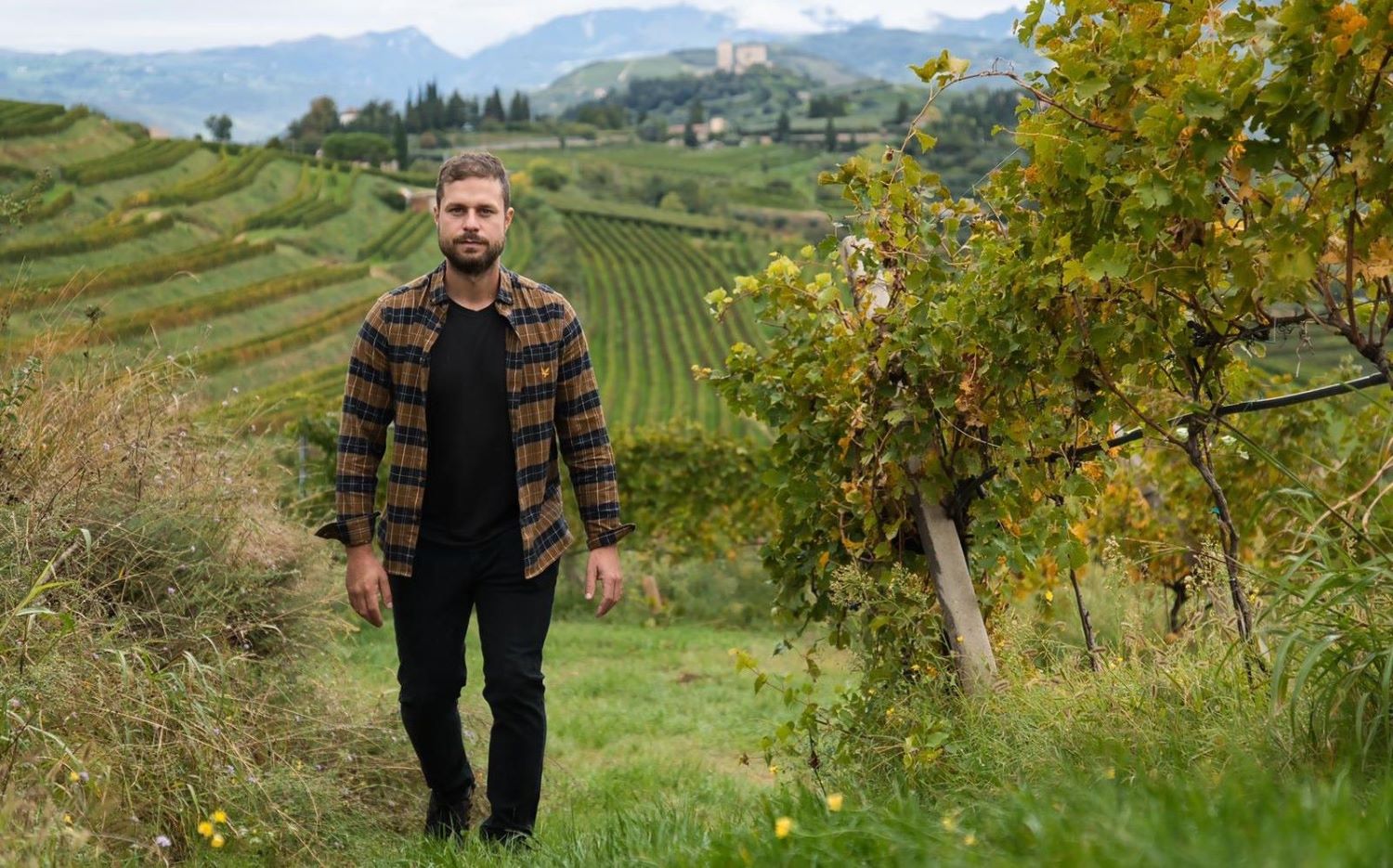 Andrea Piubello Valpolicella aus den Hügeln