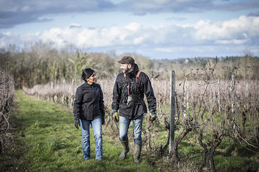Domaine de Sentout Domaine de Sentout