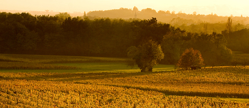 Bordeaux - Bordelais