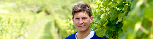 Bernhard Ecker im Weinberg