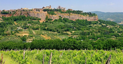 Weine aus der Emilia Romagna