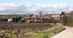 Wein aus dem Langedoc