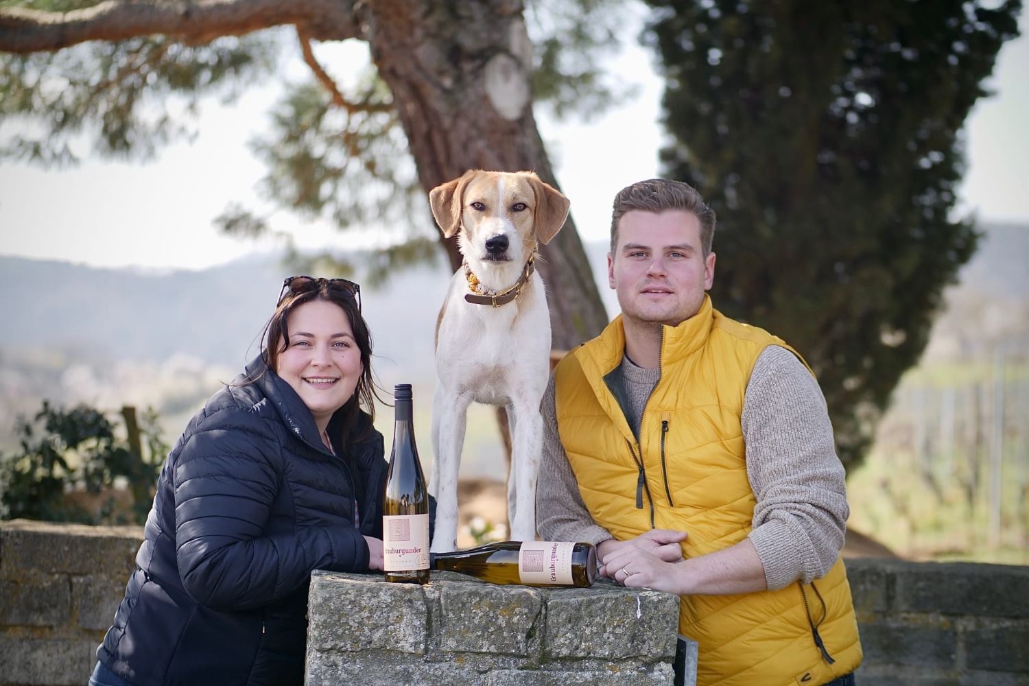 Beste Weine aus der Pfalz