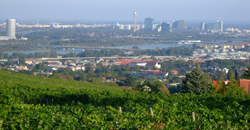 Wein aus Wien und Gumpoldskirchen