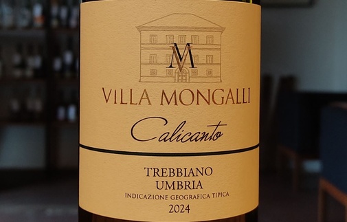 2024 Calicanto Villa Mongalli