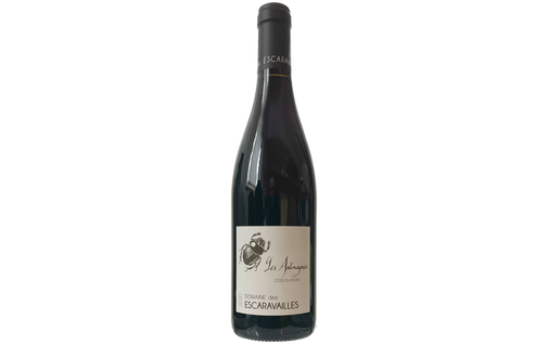 2020 Côtes du Rhône Les Antimagnes, Domaine des Escaravailles
