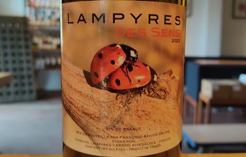 2023 Des Sens Lampyres