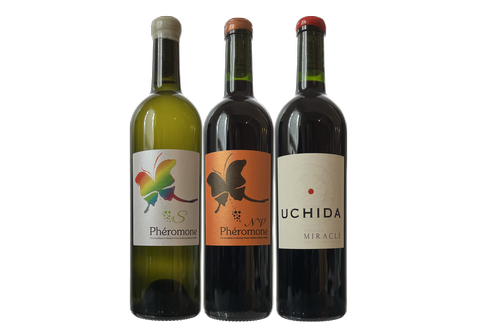 Probierpaket UCHIDA (3 Flaschen) Haut-Médoc