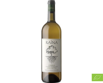 2024 Grechetto, Raína