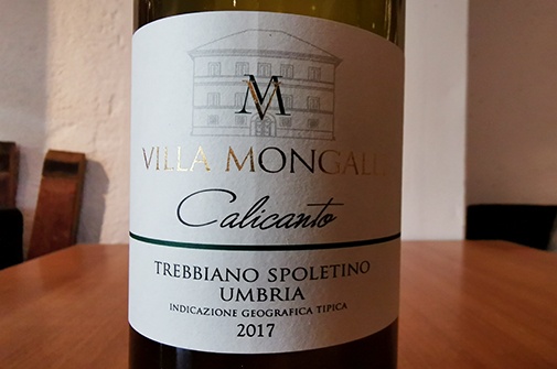 2022 Trebbiano Spoletino CALICANTO, Villa Mongalli