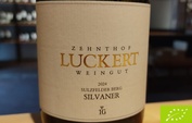 2024 Silvaner Sulzfelder BERG 1G, Luckert Zehnthof