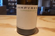2024 Luminescence Lampyres