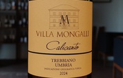 2024 Calicanto Villa Mongalli