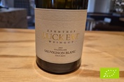 2025 Sauvignon blanc, Luckert Zehnthof