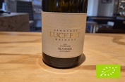 2025 Silvaner ALTE REBEN, Luckert Zehnthof