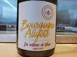 2019 Bourgogne ALIGOTÉ, Domaine d'Édouard