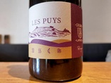 2016 Chinon rouge LES PUYS, Béatrice & Pascal Lambert