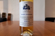 2020 PASSITO Marie Josephine, Josephus Mayr