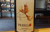 2023 Valpolicella, Piubello