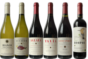 Probierpaket AGLAEA (6 Flaschen)