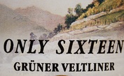 2015 Grüner Veltliner ONLY 16, Franz Proidl