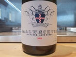 2021 Silvaner ALTE REBEN, Carsten Saalwächter