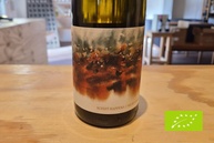 2023 Schist Happens, Michi Lorenz