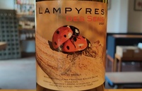 2023 Des Sens Lampyres