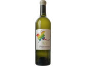 2022 PHÉROMONE S blanc, Osamu Uchida